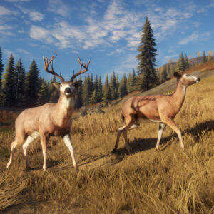 TheHunter: Call of the Wild – Epic Games [[აქაუნთი]]