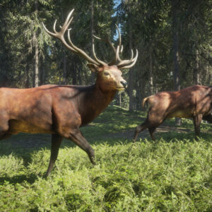TheHunter: Call of the Wild – Epic Games [[აქაუნთი]]