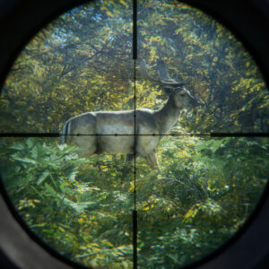 TheHunter: Call of the Wild – Epic Games [[აქაუნთი]]