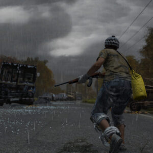 DAYZ – Steam Key