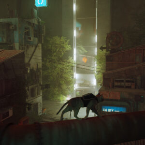 Stray – Steam Key