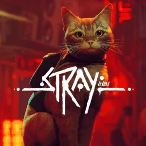 Stray – Steam აქაუნთი