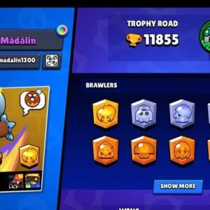 11 000 თასი (47 ბრავლერი) – Brawl Stars აქაუნთი