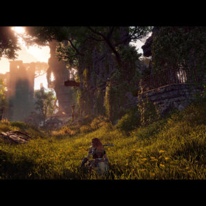 Horizon Zero Dawn Complete Edition – Steam აქაუნთი