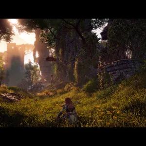 Horizon Zero Dawn Complete Edition – Steam აქაუნთი