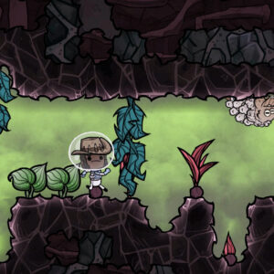 Oxygen Not Included – Steam აქაუნთი