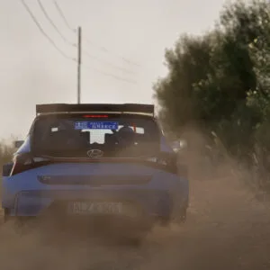Assetto Corsa Rally – Steam აქაუნთი