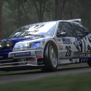 Assetto Corsa Rally – Steam აქაუნთი