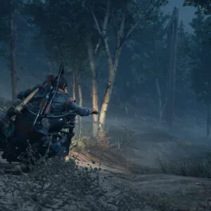 Days Gone + Broken Road – Steam აქაუნთი