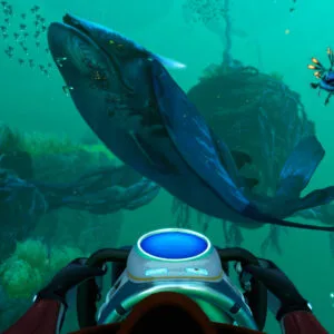 Subnautica: Below Zero  – Steam აქაუნთი